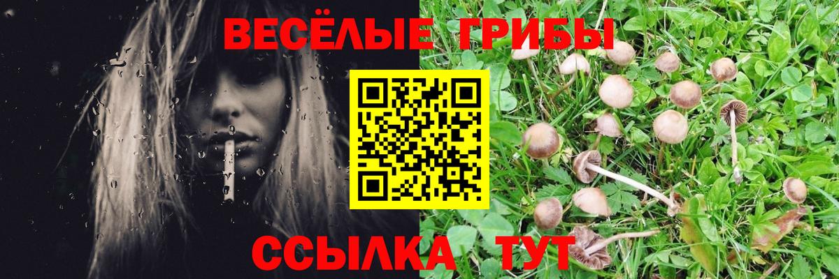 Ирбит  Псилоцибиновые грибы Psilocybine cubensis  Вход с VPN 